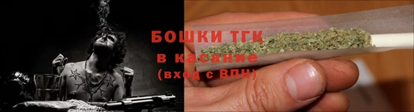 твердый Мегион